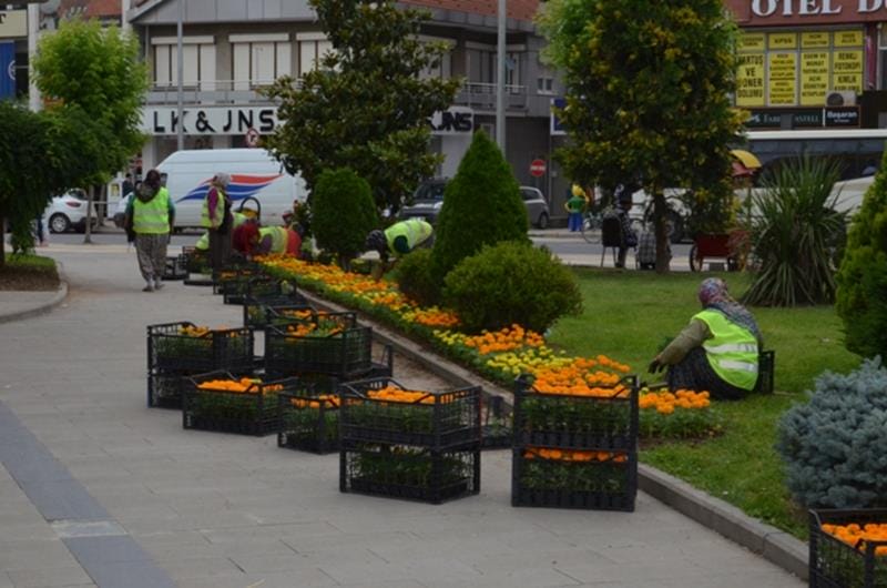 DÜZCE ÇİÇEK AÇIYOR