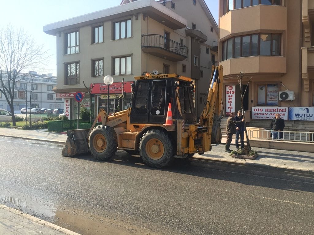 AĞAÇLARIN KIŞLIK BAKIMLARI YAPILIYOR