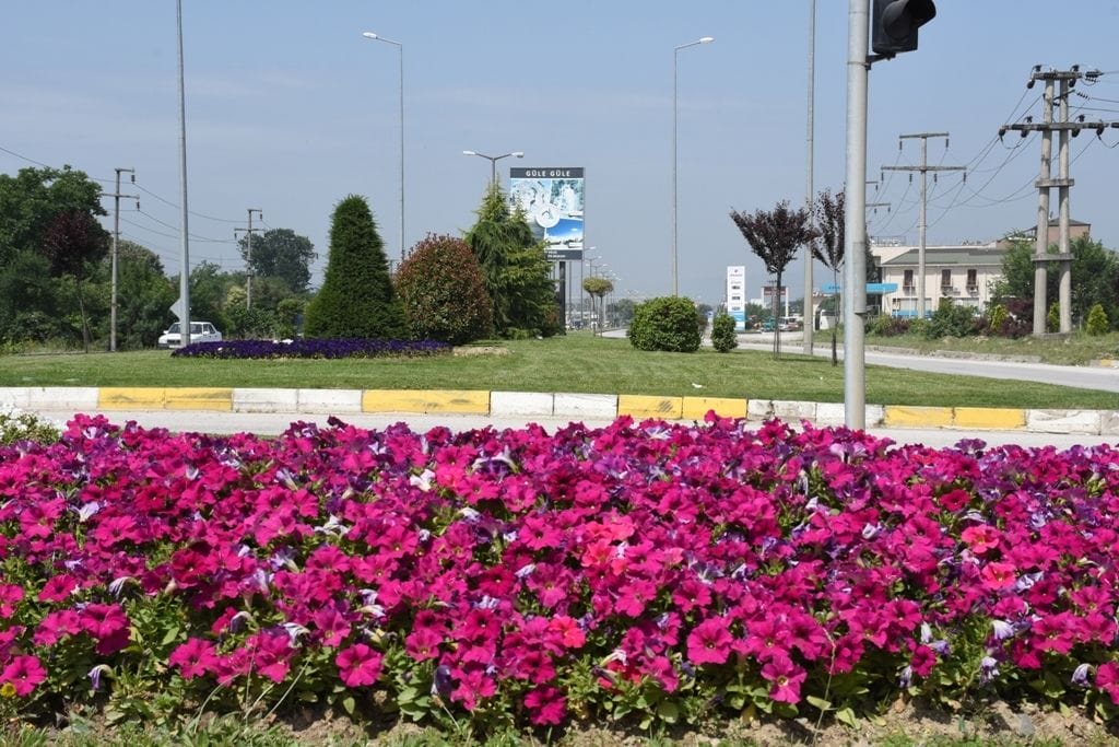 DÜZCE ÇİÇEKLERLE GÜZELLEŞİYOR