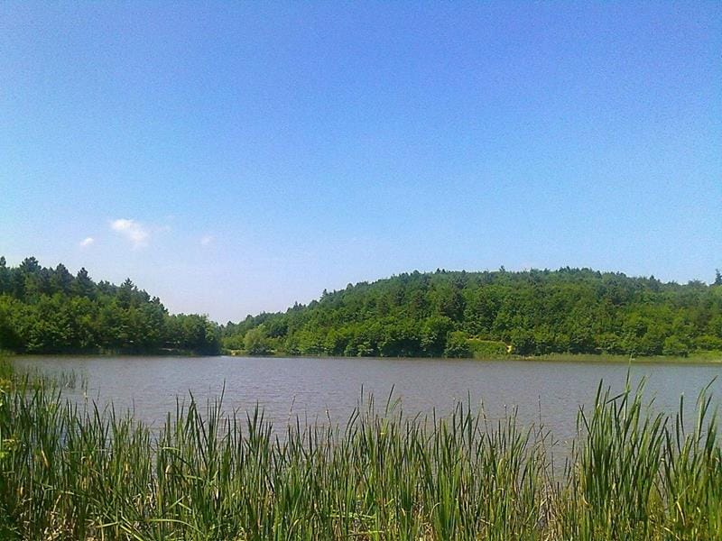 KURUGÖLDE ELEKTRİK HATLARI TAMAMLANDI