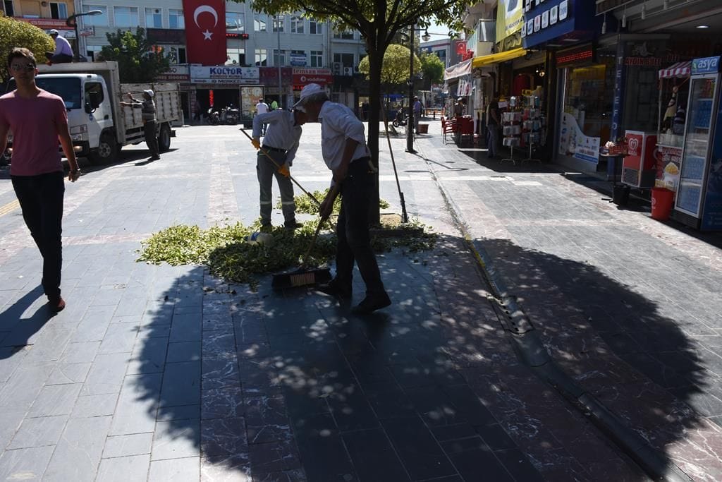 AĞAÇLARA PEYZAJ BAKIMI YAPILDI