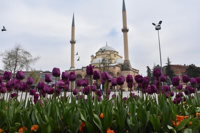 DÜZCE ÇİÇEKLERLE RENKLENDİ