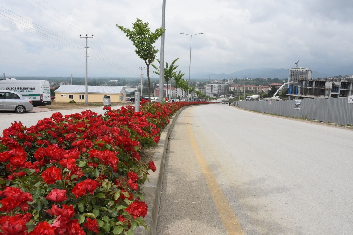 DÜZCE RENGARENK HALE GELDİ