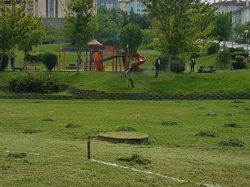 ÇİM BİÇME ÇALIŞMALARI BAŞLADI