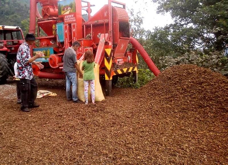 ANIZ VE FINDIK KABUKLARINI YAKMAYIN