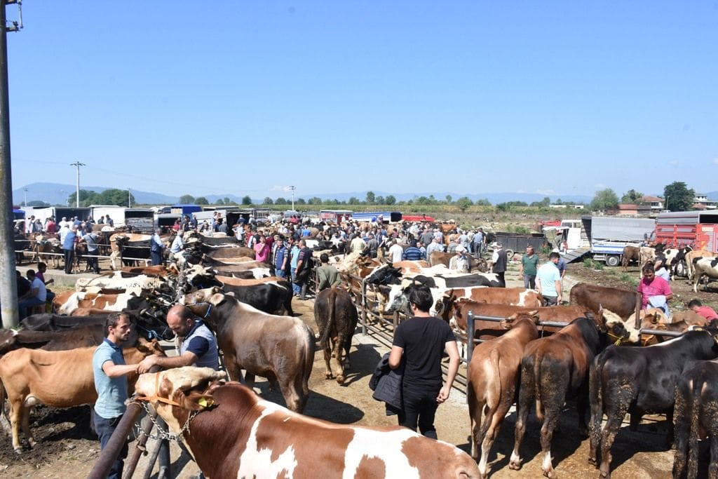 KURBAN KESİM ÜCRETLERİ BELİRLENDİ