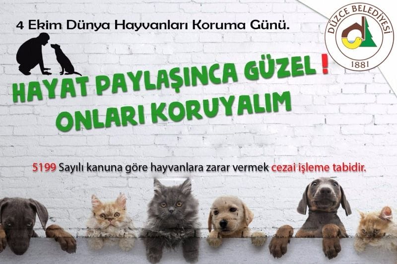 HAYVAN HAKLARINI GÖZETMEK GEREKİR