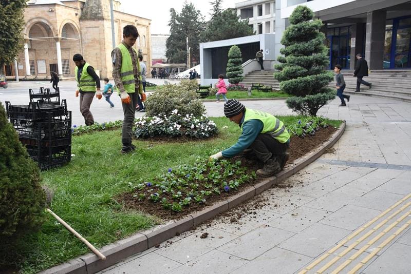 MEVSİMLİK ÇİÇEK DİKİMİ BAŞLADI