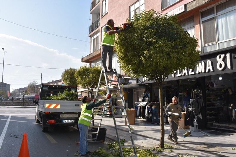 AĞAÇLARIN KIŞLIK BAKIMLARI YAPILIYOR