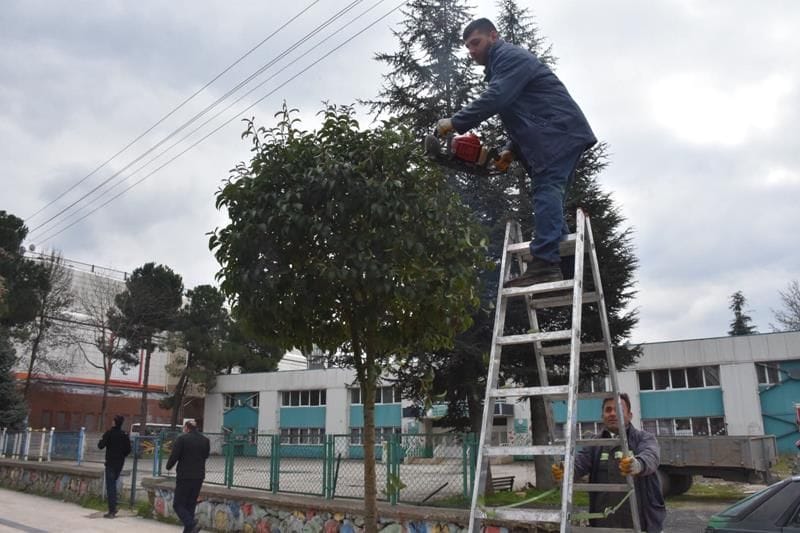 AĞAÇLARIN KIŞLIK BAKIMI YAPILIYOR