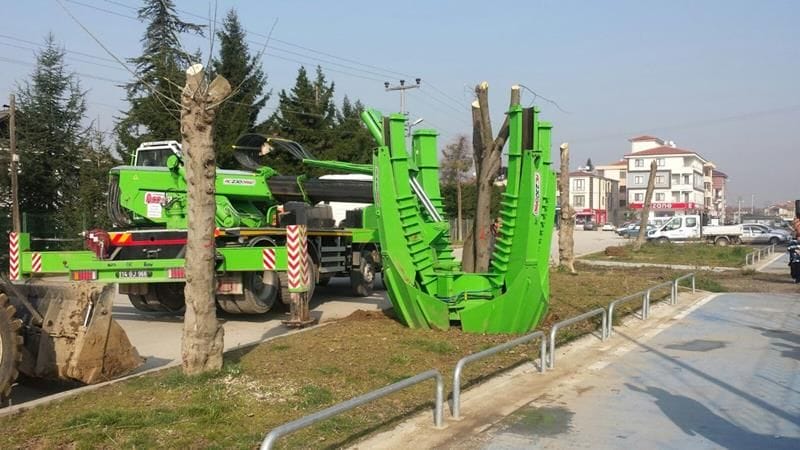 AĞAÇLAR ZARAR GÖRMEDEN TAŞINDI