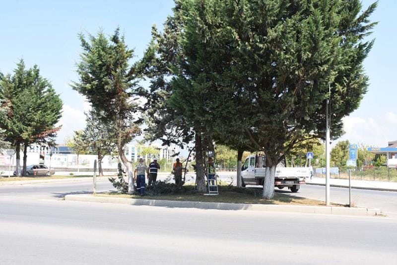 TRAFİĞİ ENGELLEYEN AĞAÇLAR BUDANIYOR