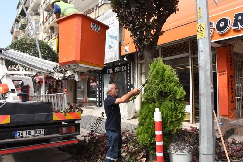 AĞAÇ BUDAMA ÇALIŞMALARI SÜRÜYOR