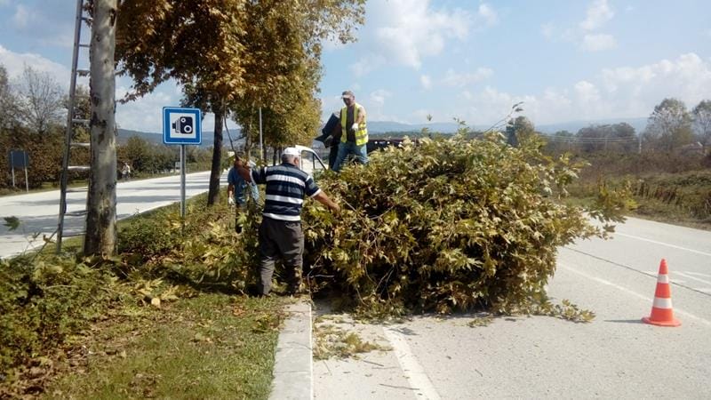 AĞAÇ BUDAMA ÇALIŞMASI DEVAM EDİYOR
