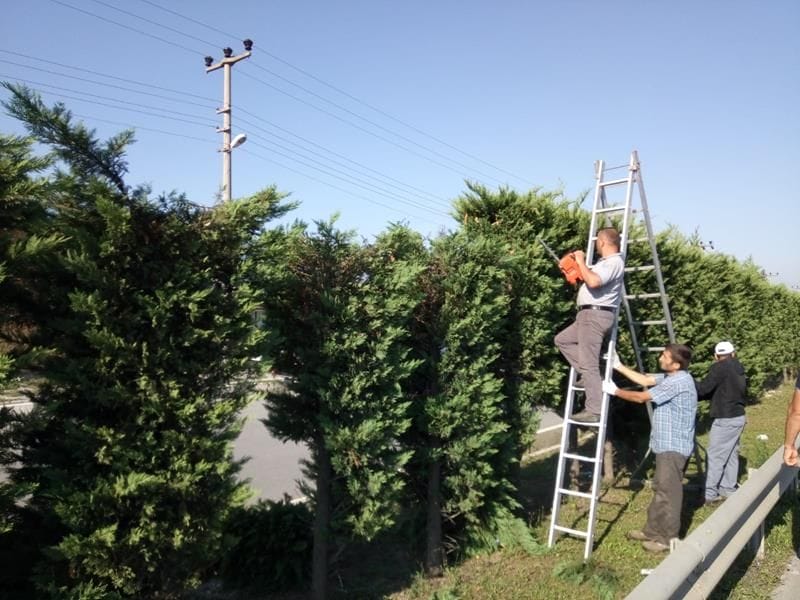 PEYZAJ BAKIMLARI SIKLAŞTIRILDI