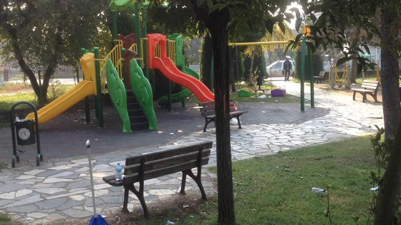 TERTEMİZ VE YEMYEŞİL DÜZCE