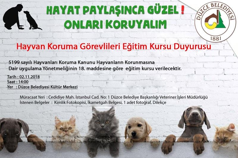 HAYAT PAYLAŞINCA GÜZEL ONLARI KORUYALIM