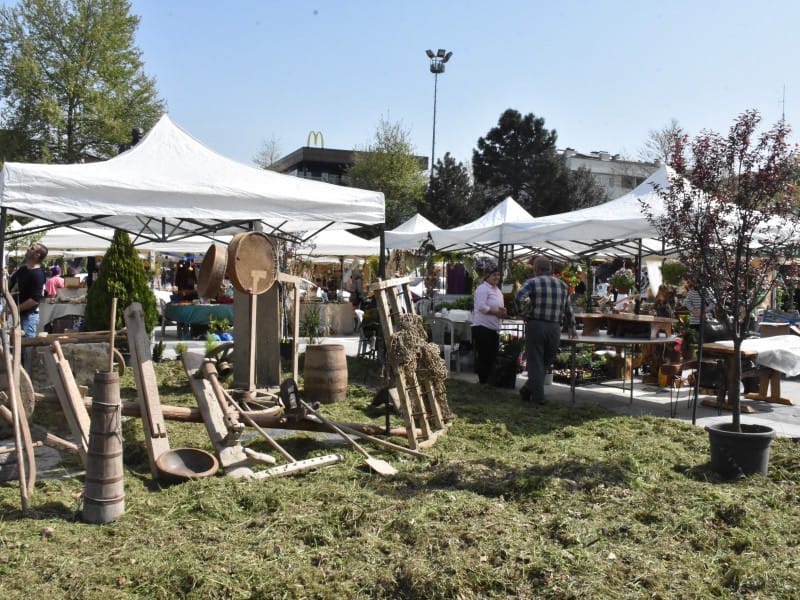 FESTİVAL PROGRAMININ DETAYLARI BELLİ OLDU