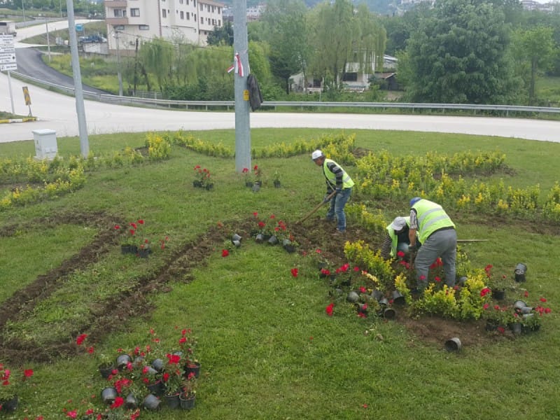 YEŞİL DÜZCE SOKAKLARINDA YANSIYACAK