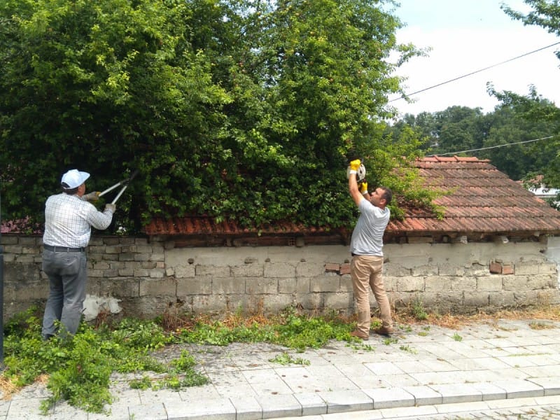 KALDIRIMA TAŞAN BİTKİLER BUDANIYOR
