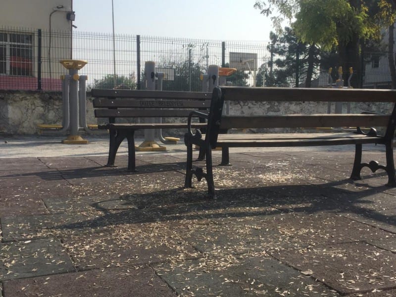 PARKLARDAKİ PİSLİK EKİPLERİ DE ŞAŞKINA UĞRATTI