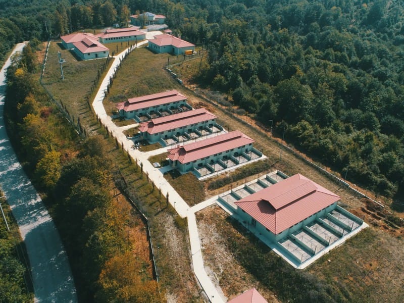 SOKAK HAYVANLARI BİZE EMANET