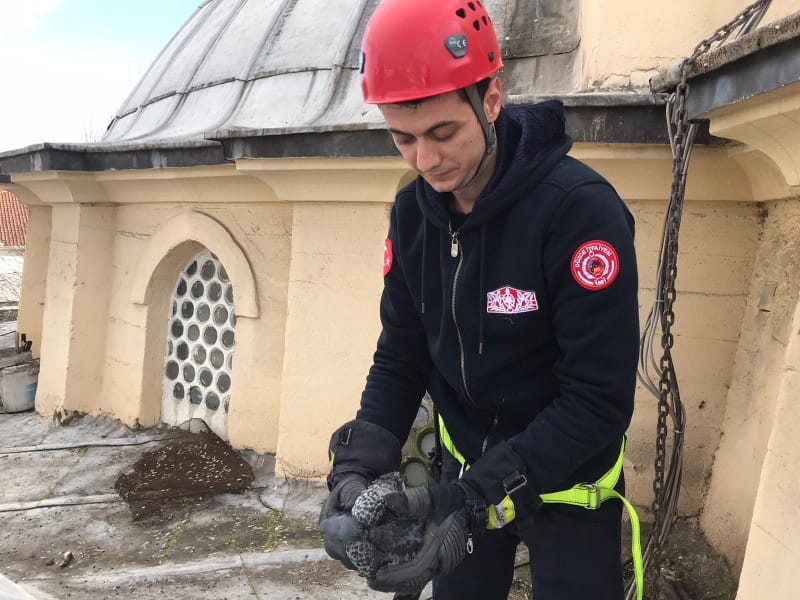 GÜVERCİN İÇİN SEFERBER OLDULAR