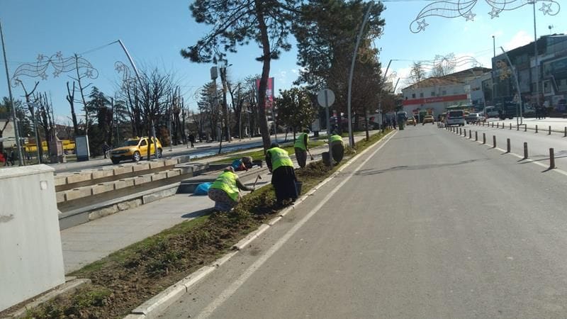 YABANİ OT TEMİZLİĞİ BAŞLADI