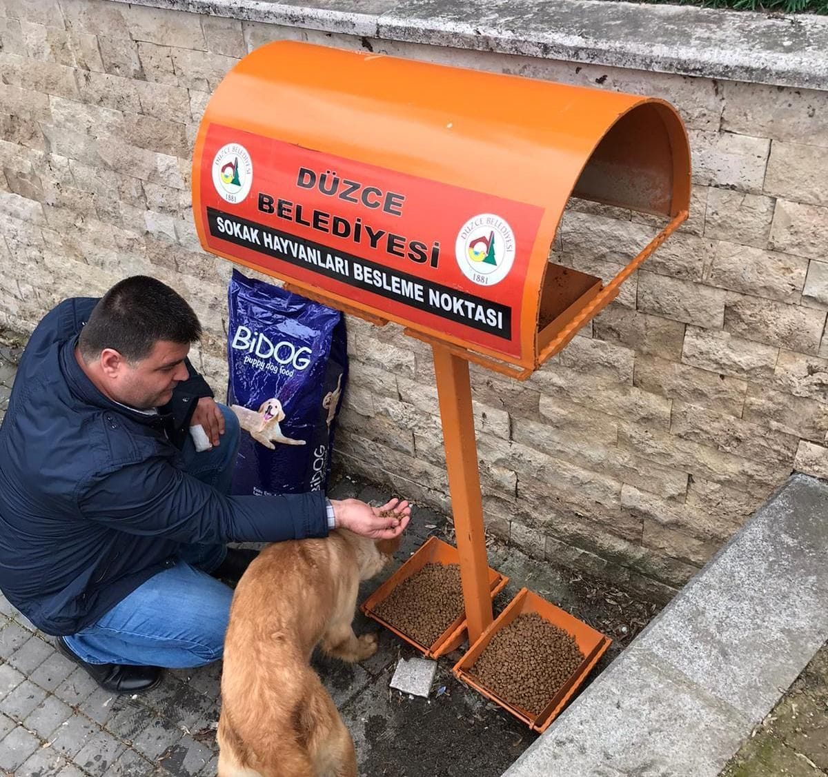 DÜZCE BELEDİYESİ SOKAK HAYVANLARINI UNUTMUYOR