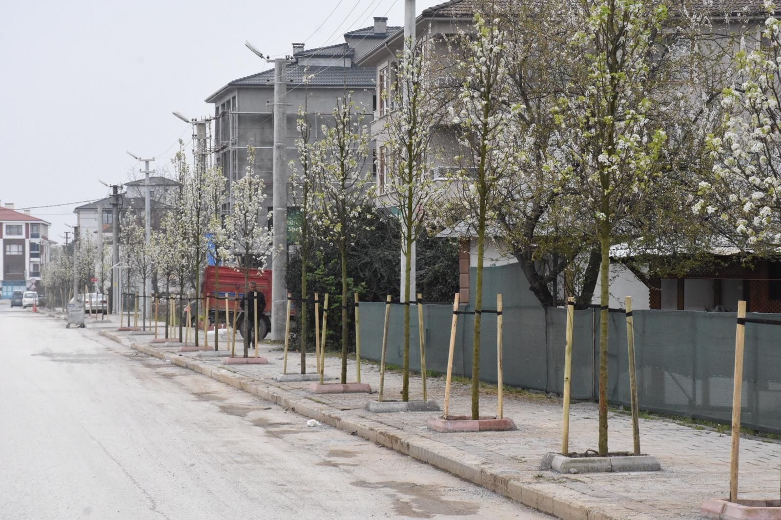 DÜZCE MİS GİBİ KOKACAK